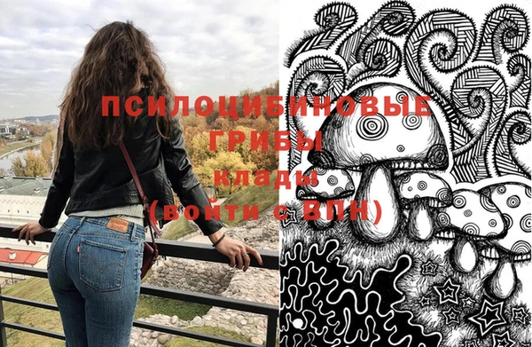 spice Алексин